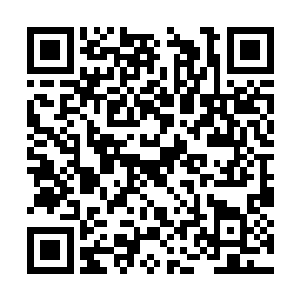 没听船长说么要是以后你们再犯小迈克这样的错误二维码生成