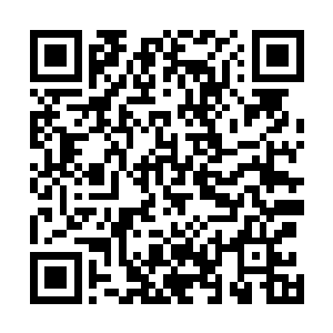 没多久柳如月身上流逝的生命力开始快速慢慢的回复起来二维码生成