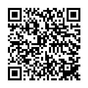 没当路易斯想要用力将龙王抓在自己头发上的手弄开时二维码生成
