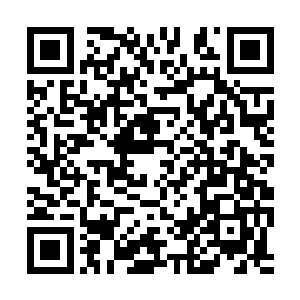 没必要等到现在……这一枚药丸只是防止你反水的二维码生成