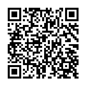 没必要费劲心思炼制丹药后又免费提供给恒罗商会二维码生成