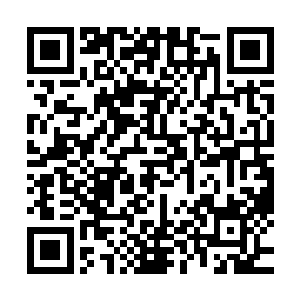 没怎么批评过也就意味着他并没有真正获得夏力行的完全认可二维码生成