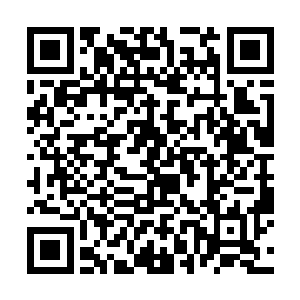 没想到……随手就送给了这位少年谪仙风云全文阅读二维码生成