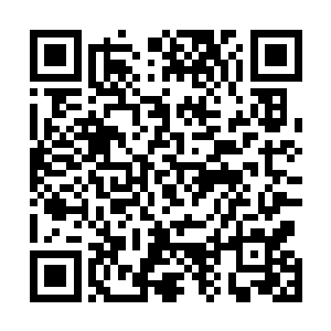 没想到一向不与外界交流的梅玄风几人竟然有了四轮神兵二维码生成