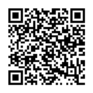没想到一次偶然的派出任务会让苏凡发现任阳辉他们真正的作用二维码生成