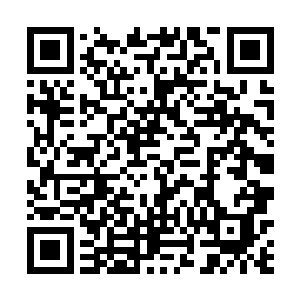 没想到严肃认真对她很慈祥的管家爷爷也是个超级狠客二维码生成