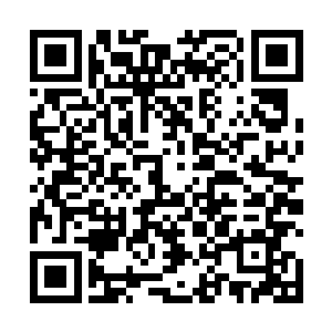 没想到丹轩阁的背后竟然也有一尊如此恐怖的庞然大物二维码生成