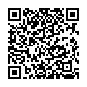 没想到事与愿违她们反而是帮助了初代魔神让他得以顺利现世二维码生成