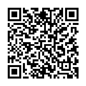 没想到今天我萨拉斯就要试一试人族漂亮女骑士是什么味道了二维码生成