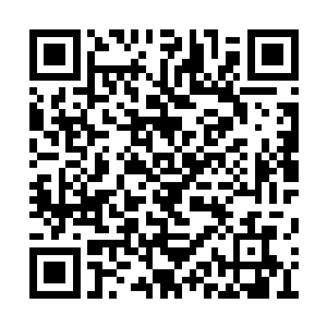 没想到他们两个这么小的孩子就要受这么多的苦二维码生成