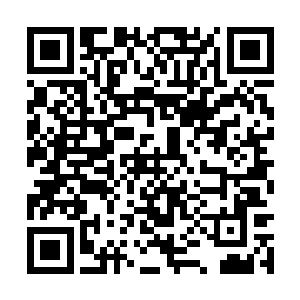 没想到他们居然在天阵大陆这种小地方碰到了仙石二维码生成