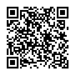 没想到他们竟然还继续收集着关于这件事情的情报二维码生成