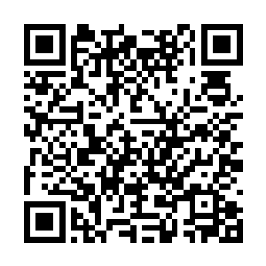 没想到他手下的毒龙会不但不再干打打杀杀的事情二维码生成