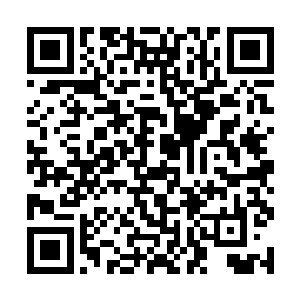 没想到他来参加炼丹比赛居然只是为了偷学本事而已二维码生成