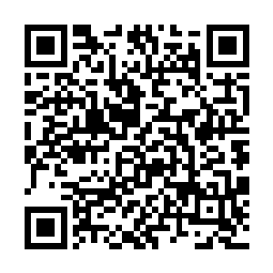 没想到仙明湖底的那层封印居然闹出了这么大的动静二维码生成