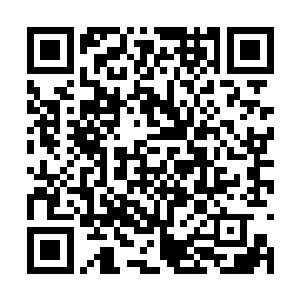 没想到任务没有完成却一下子损失了这么多的兄弟二维码生成