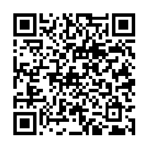 没想到会在这里遇到太夏张姓家族之中的顶级豪门二维码生成