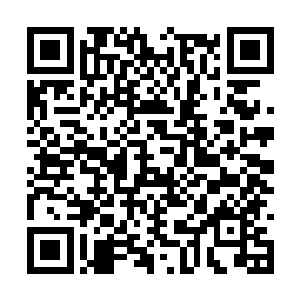 没想到你们真的除掉了秘社的策略家马克洛夫斯基二维码生成