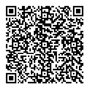 没想到你们这两个灵体竟然还认得八卦迷踪阵不简单不简单啊看来他们两个实力如此弱小的人之所以能来到这里一切都是你们的功劳吧二维码生成