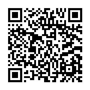 没想到你修炼土属性的功法竟然依旧能够在炼器方面有如此造诣二维码生成