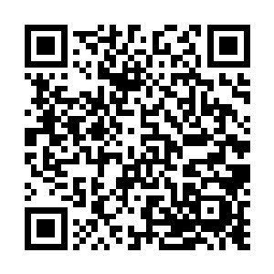 没想到你这次闭关倒比我预想的提前了几天就出来了……二维码生成