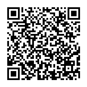 没想到修炼了人字部和地字部九重天功法的杨召青竟然厉害到了如此地步二维码生成