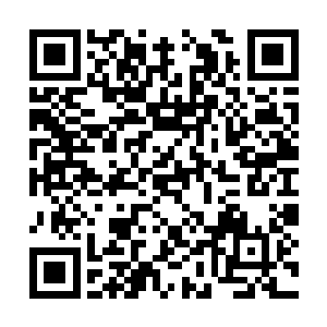 没想到凌天远程厉害的机甲师不仅仅只有一个凌蘭二维码生成