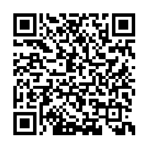 没想到凤家一行竟然得到了一个如此天大的机缘二维码生成