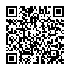 没想到剑尘配合王者之兵竟然能发挥出圣王五重天的实力二维码生成