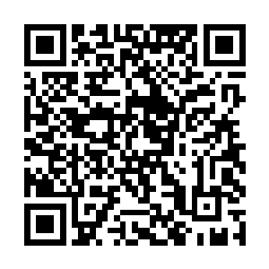 没想到史蒂夫这家伙给所有法国人在外人面前丢了脸二维码生成