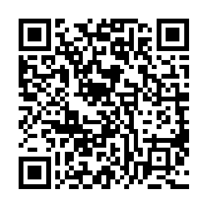 没想到叶寻道还留了你这么一张底牌…要…要不我们合作二维码生成