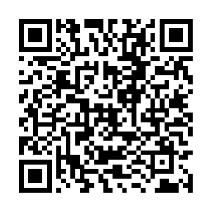 没想到唐天竟然把闪拳修炼到百分之百的完美之境二维码生成