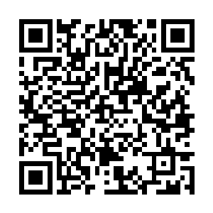 没想到在这怪物的手下都没能撑过几个呼吸的时间二维码生成