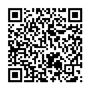 没想到在这种地方还能看得见这种杀人掠货的事情二维码生成