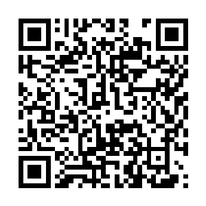 没想到在这里居然能够看到那么多隐藏的人族强者二维码生成