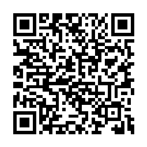 没想到地下城的尸兄们居然这样平和安康是不是二维码生成