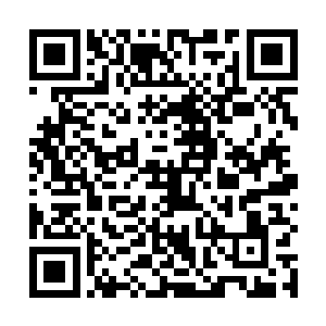 没想到堪比乾血皇朝的永夜皇朝皇帝一脉就是他的传承二维码生成