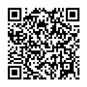 没想到夜行人这里有这么多传奇职业的进阶手册二维码生成