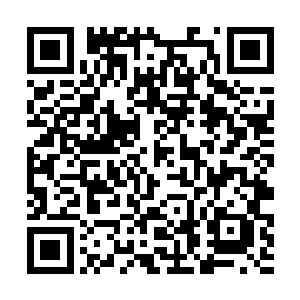 没想到大名鼎鼎的枯叶婆婆竟然加入了神秘的天机阁二维码生成