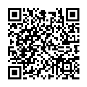 没想到大家都对丰西的双庙和伏龙前景这么悲观啊二维码生成