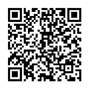 没想到奥斯瓦尔多也会像一个十六岁的孩子那样幼稚二维码生成