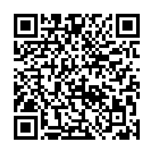 没想到她就看到了另一个穿着凤冠霞帔盖着红盖头的新娘二维码生成