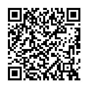 没想到她比喜欢自己的小叔叔还要喜欢他和跹跹二维码生成