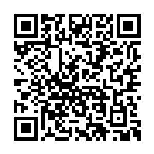 没想到如今他们二人竟然全都突破到了举霞境界二维码生成