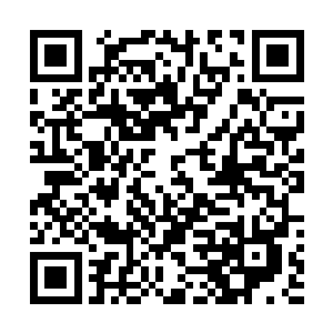 没想到姑父这样稳重的人却生了表兄这样一个顽劣的孩子二维码生成