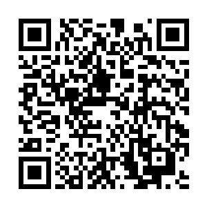 没想到寒星竟破天荒的带出了中品传承和上品传承二维码生成