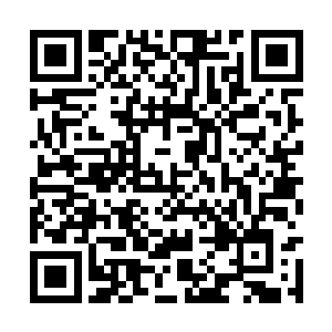 没想到居然为了几个矛头小子你就发出了求救信号二维码生成