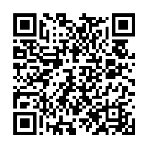 没想到帐篷外面有十几名后宫团成员都在翘首以盼二维码生成