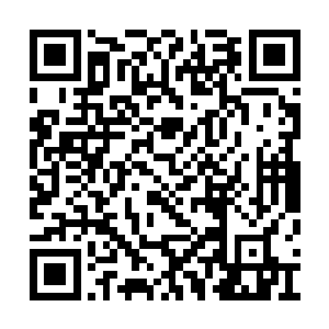 没想到当了猫却又壕了一把――有了自己的公司二维码生成