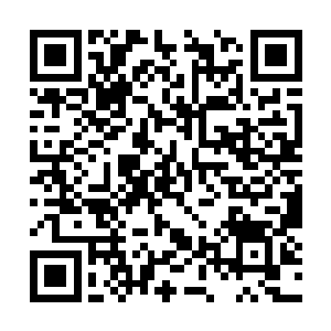 没想到当初随意抓了两把那种面灰一样的东西撒下二维码生成